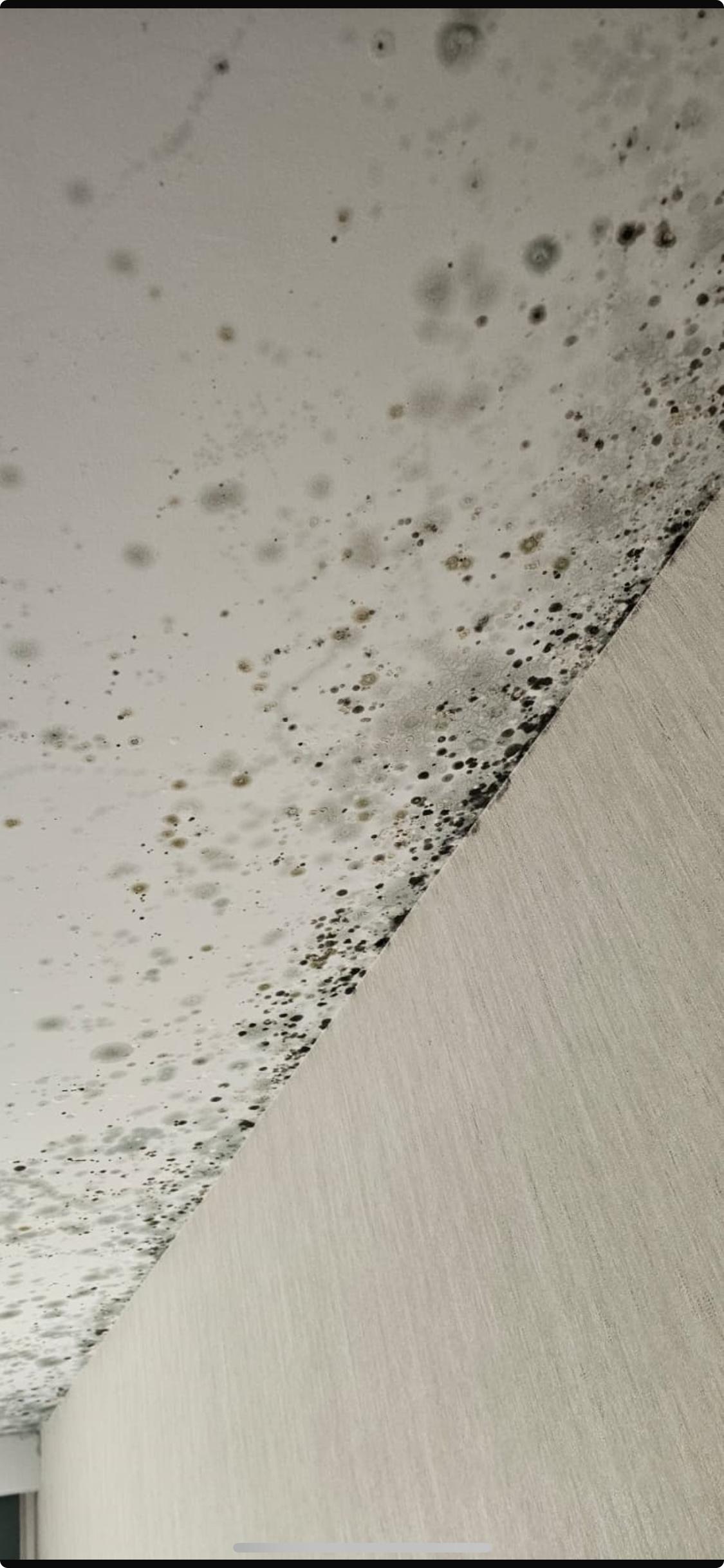 Yalıtım Sıvası Nedir? Mantolamaya Alternatif Yeni Nesil Isı Yalıtım Teknolojisi Thermolock